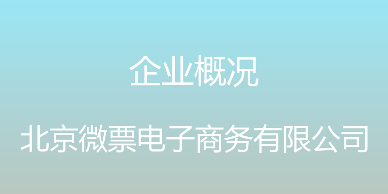 企业概况 - 北京微票电子商务有限公司